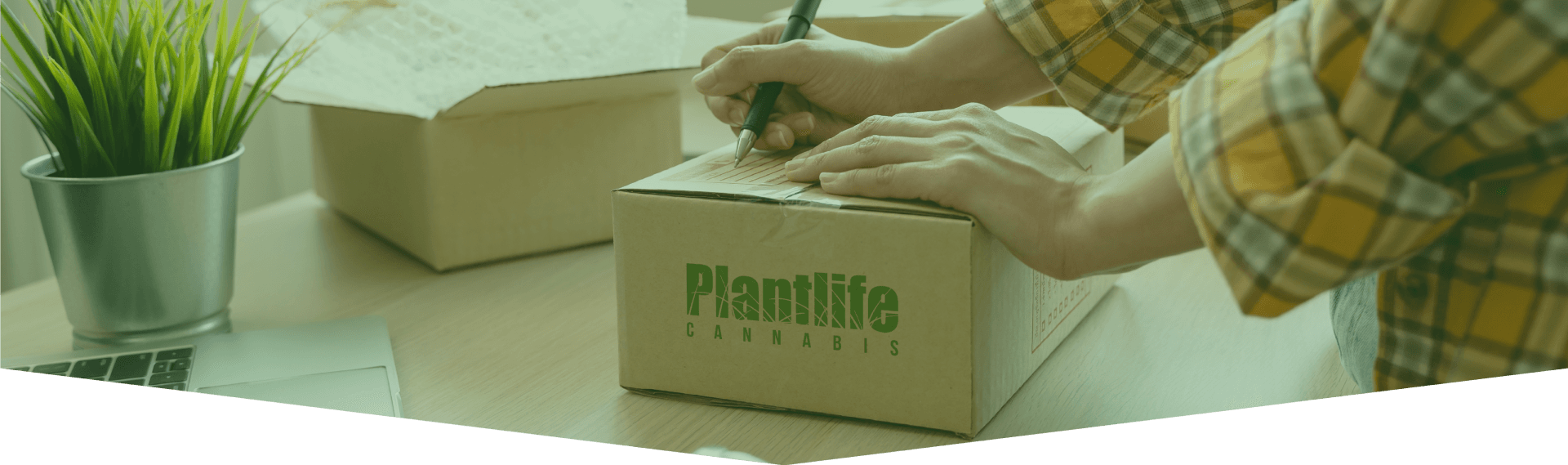 Your Comprehensive Guide to Weed Delivery Halifax