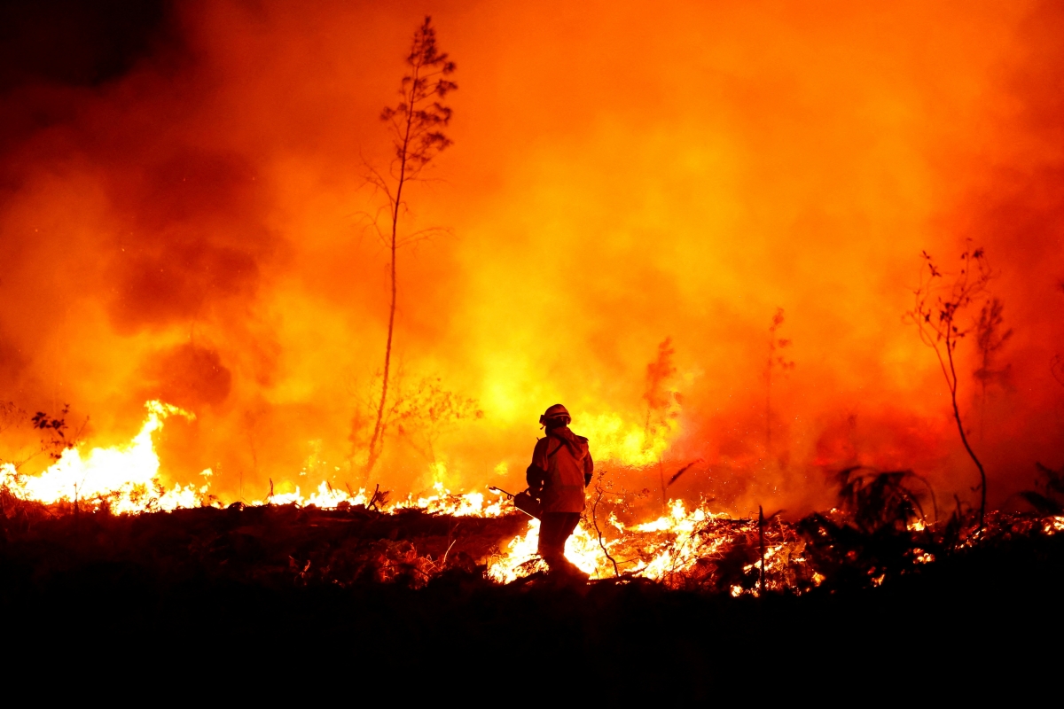 Wildfire events Activity Days Kids Love