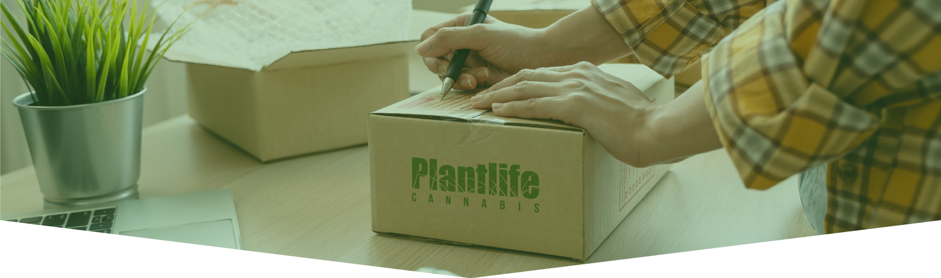 Your Comprehensive Guide to Weed Delivery Halifax